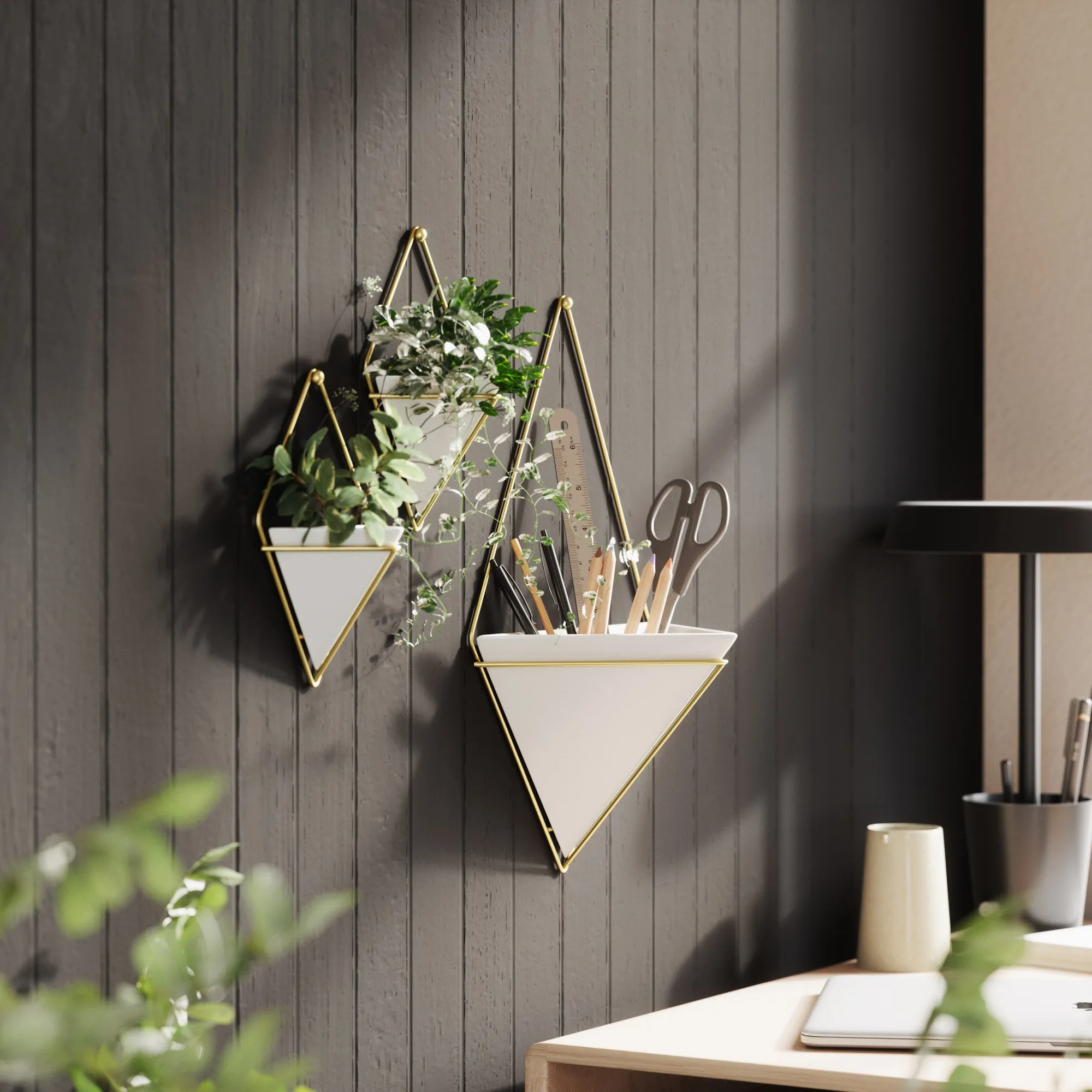 Trigg Wall Planter & Storage, Large