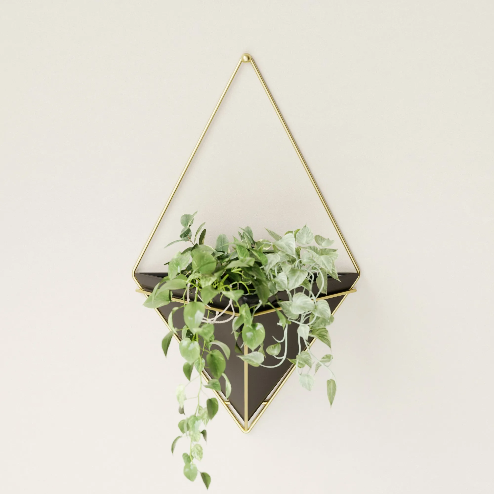 Trigg Wall Planter & Storage, Large
