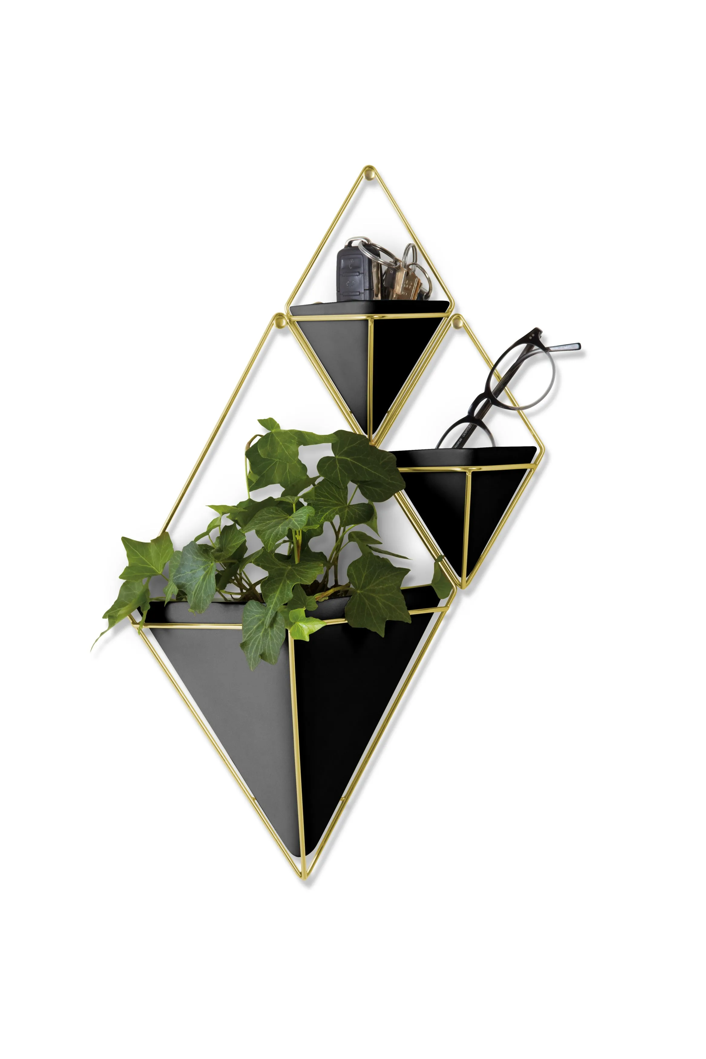 Trigg Wall Planter & Storage, Large