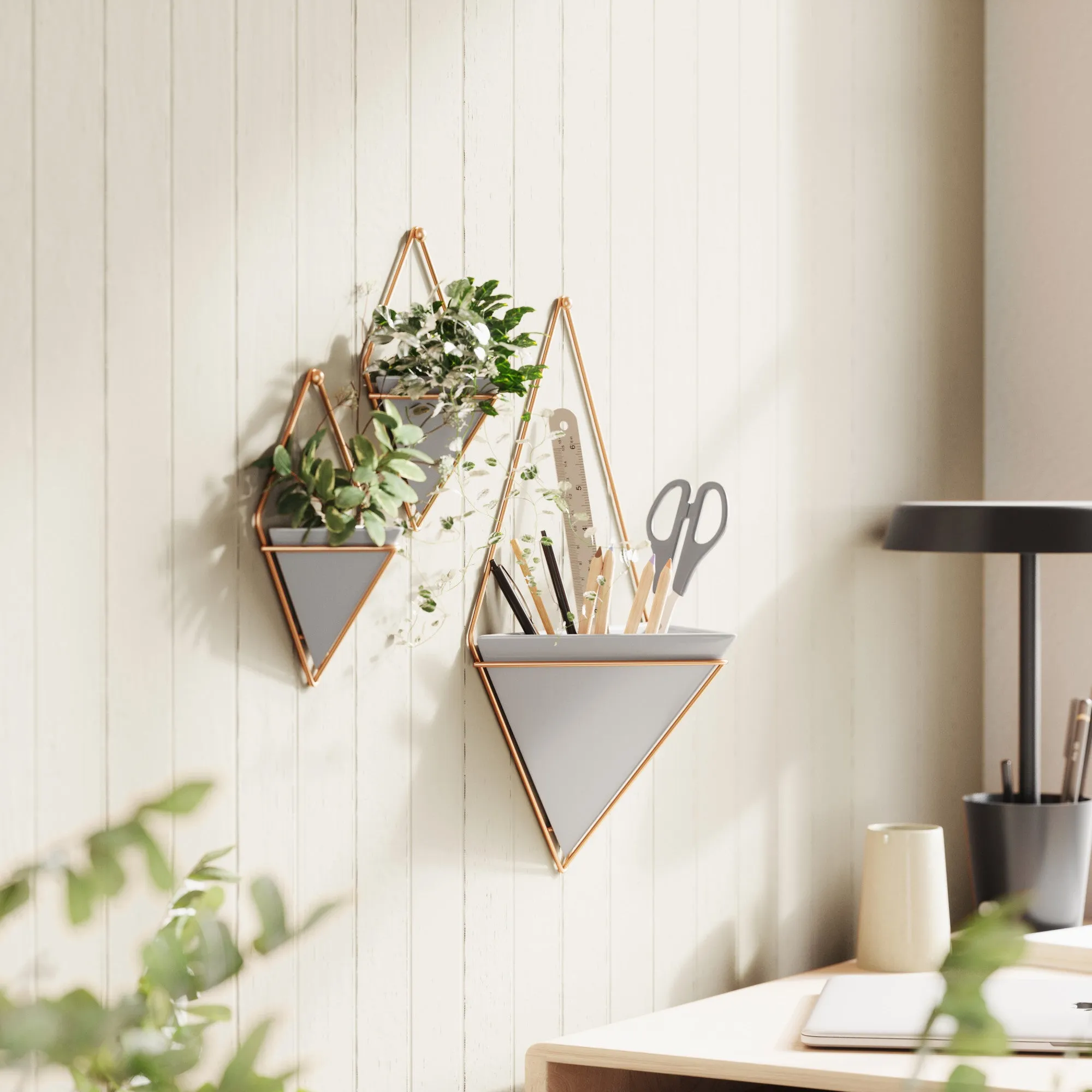 Trigg Wall Planter & Storage, Large