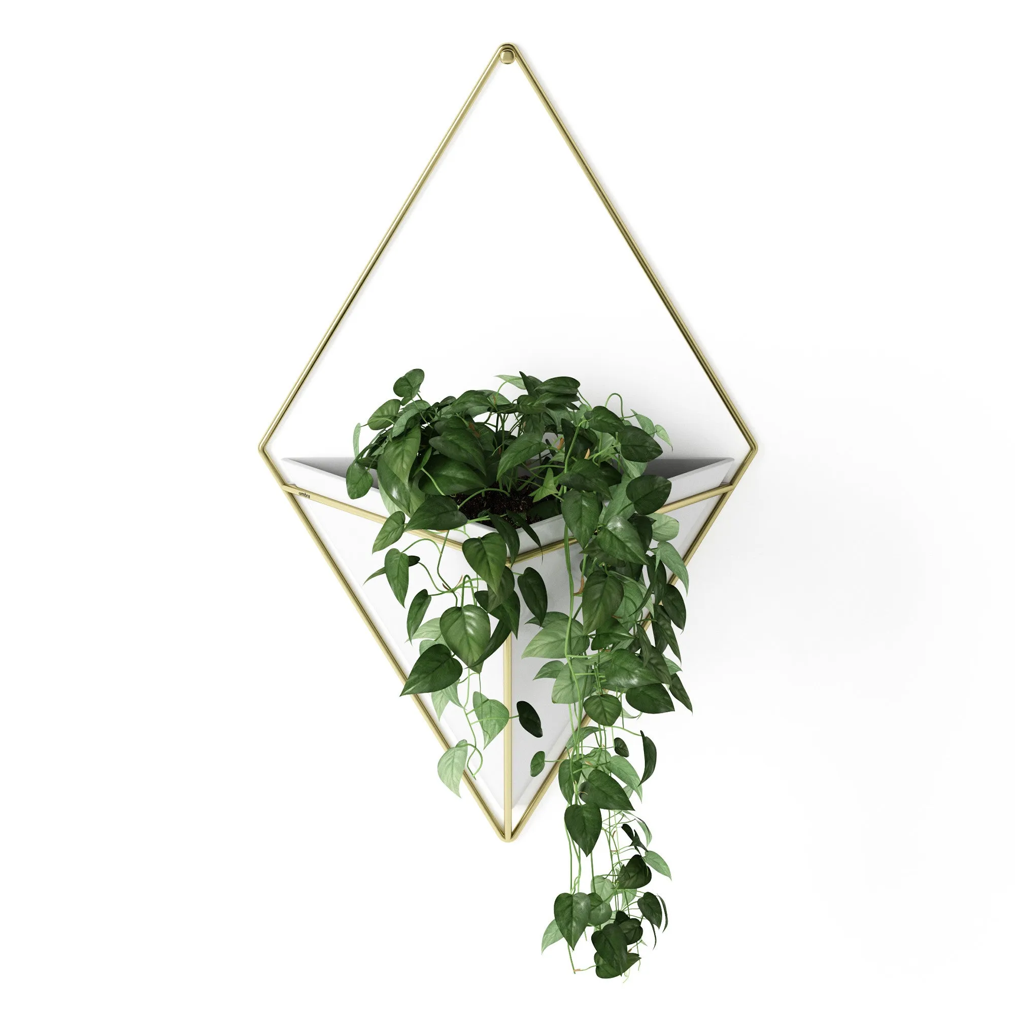 Trigg Wall Planter & Storage, Large