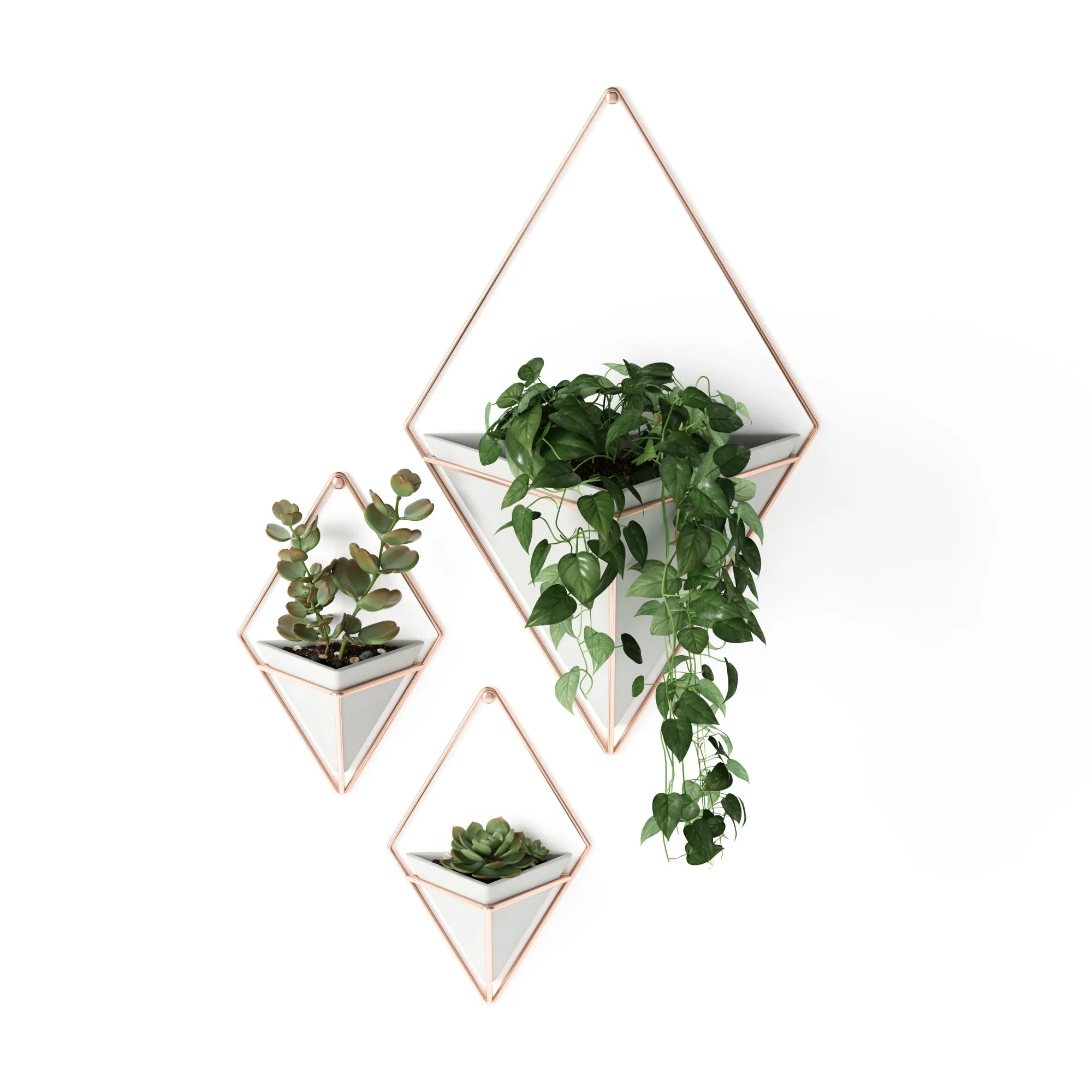 Trigg Wall Planter & Storage, Large