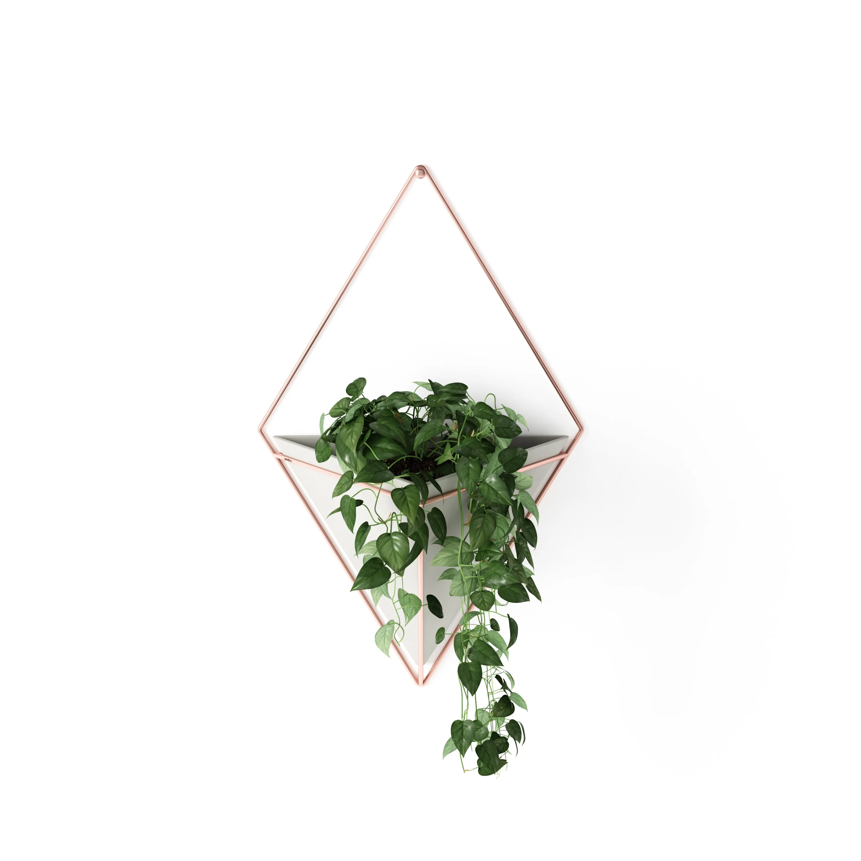 Trigg Wall Planter & Storage, Large