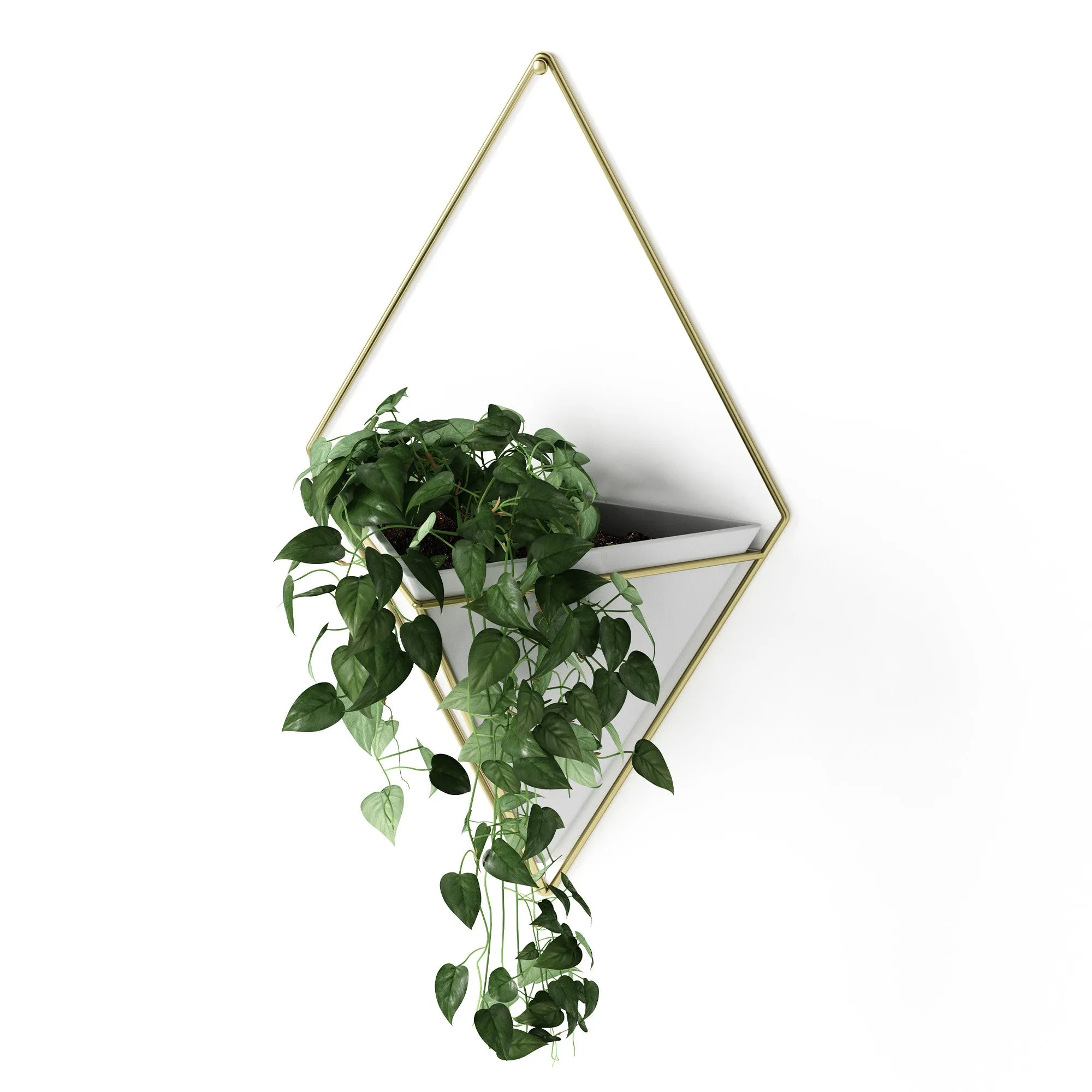 Trigg Wall Planter & Storage, Large