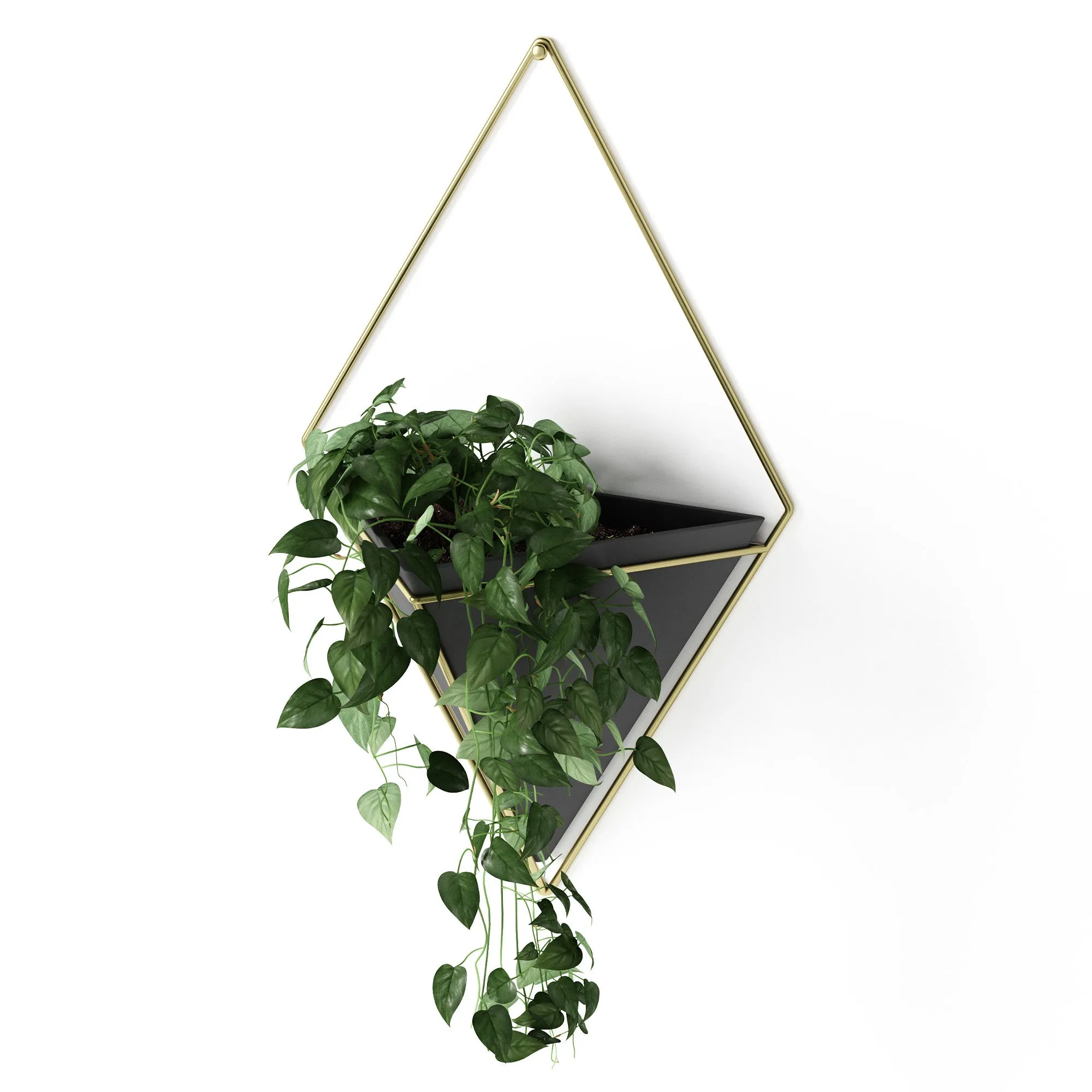 Trigg Wall Planter & Storage, Large