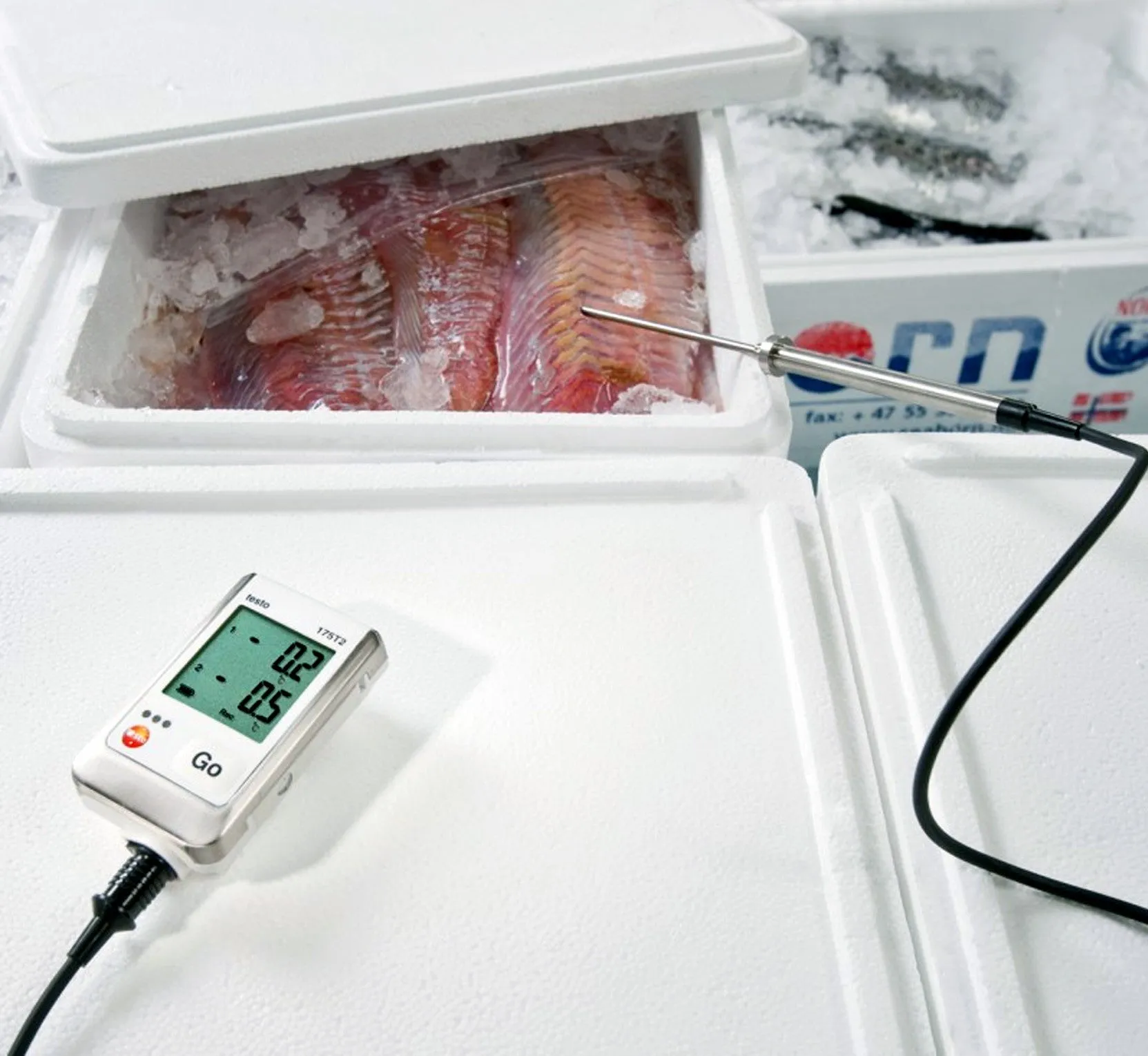 Two Channel Temperature Data Logger - Testo 175-T2