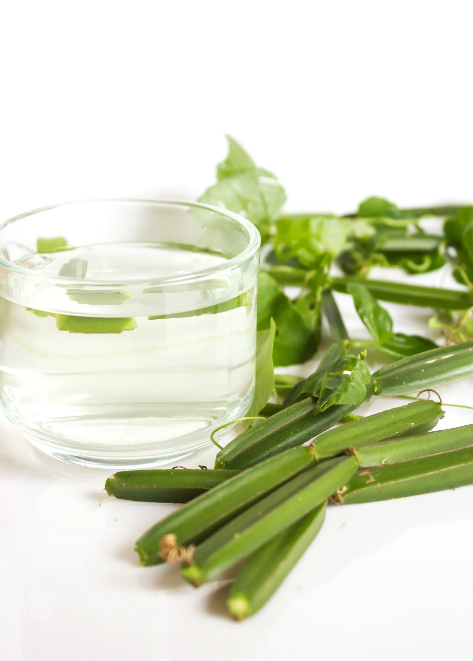 Veld Grape (Cissus quadrangularis)
