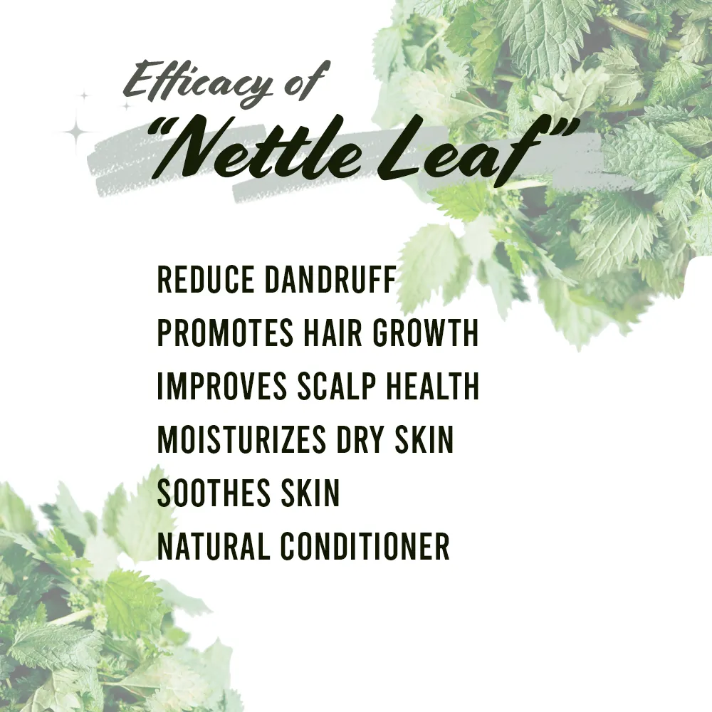 Well's Herb Dried Nettle Leaf | 0.5 oz.