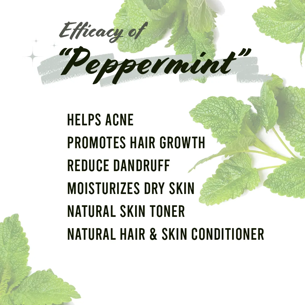 Well's Herb Dried Peppermint | 0.6 oz.
