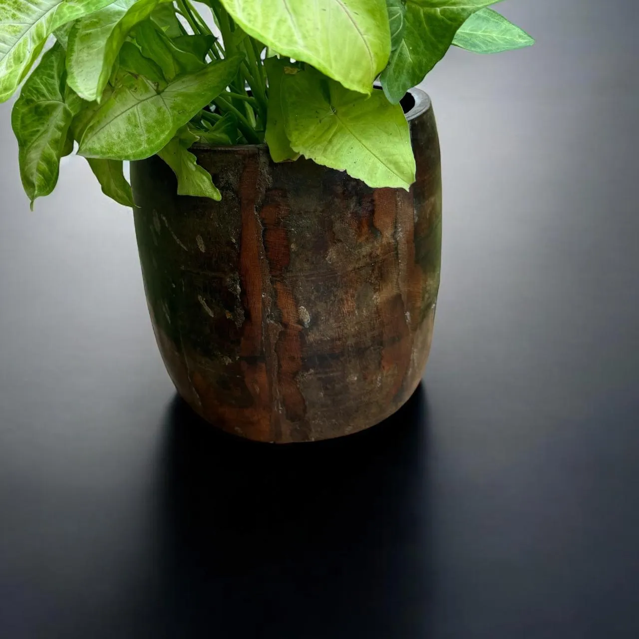 Wooden planter : Aarna 3